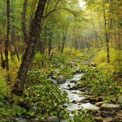 BET9官方APP下载-登录入口