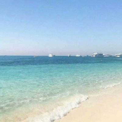 leyu乐鱼·体育下载手机版