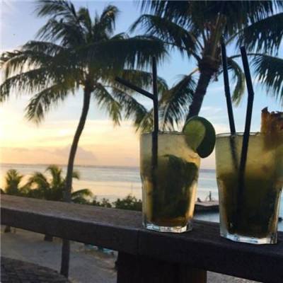 金沙集团186cc成色官方版下载