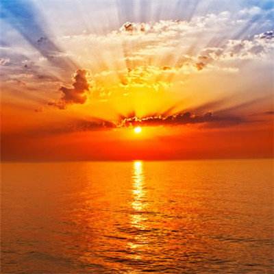 皇冠新体育app下载手机版